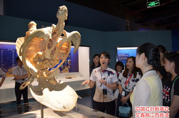 2 游客参观周庄生命奥秘博物馆.jpg