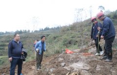 德江县合医局修通断头路架起民心桥