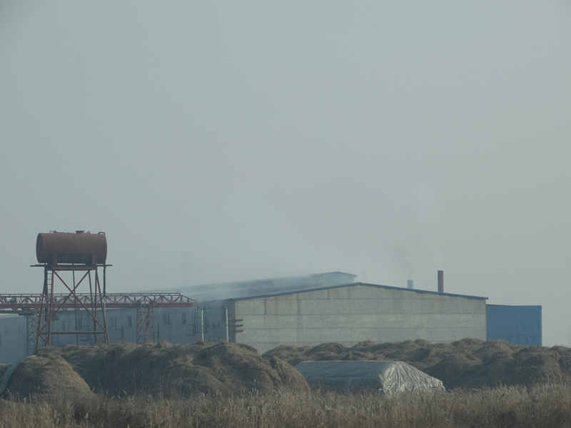 �ӱ������л�����Ⱦ���ؼ�ܲ���͹�ԡ�ƣ����