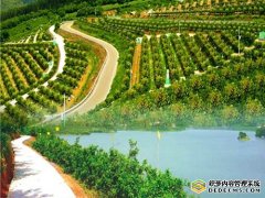 湖北宜都南桥村:美丽乡村的“丘陵突破”