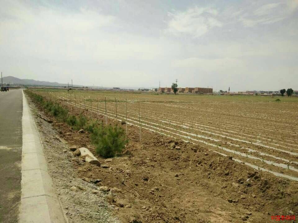 山西省大同市天镇县赵家沟乡农民贷款【款去何处】