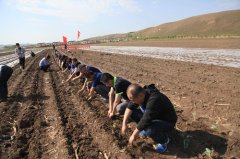 扎兰屯市“党建扶贫示范田”让贫困户种菜“不愁了”