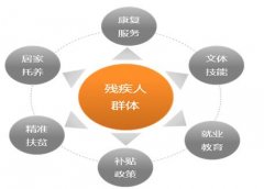 碧江环北《残疾人“1+1”信息台帐》获称赞并被推广