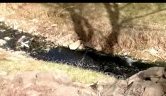 陕西绥德:中角镇石咀村粉条加工厂致当地水体污染严重