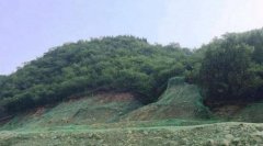 品质延崇加速度之三 :与绿色同行