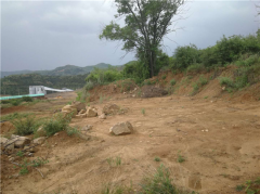 祖坟被毁三代祖宗遗骸失踪!都是煤矿肆意倾倒废渣所致!