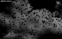 扼杀善良,人类就是在自取灭亡