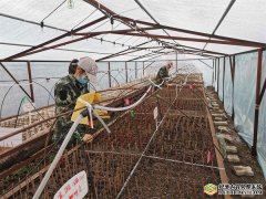 吉林红石林业局端起科创兴林“金饭碗”