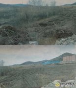 黑龙江萝北:七旬老人私自开荒植树该不该给予补偿?