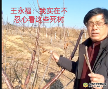 瓦房店主管部门:扯皮连续剧何日是剧终?