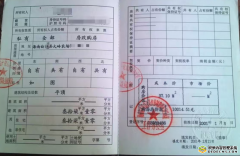 海南一“公章之争”背后:虚假诉讼、假证风波与治理困局