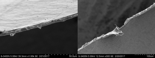 塑料袋样品断面的扫描电镜结果。来源:北京市食药监局供图。